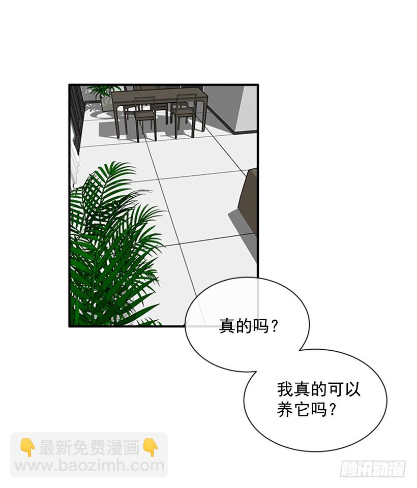 《扑杀少女》137.大喵 第11页