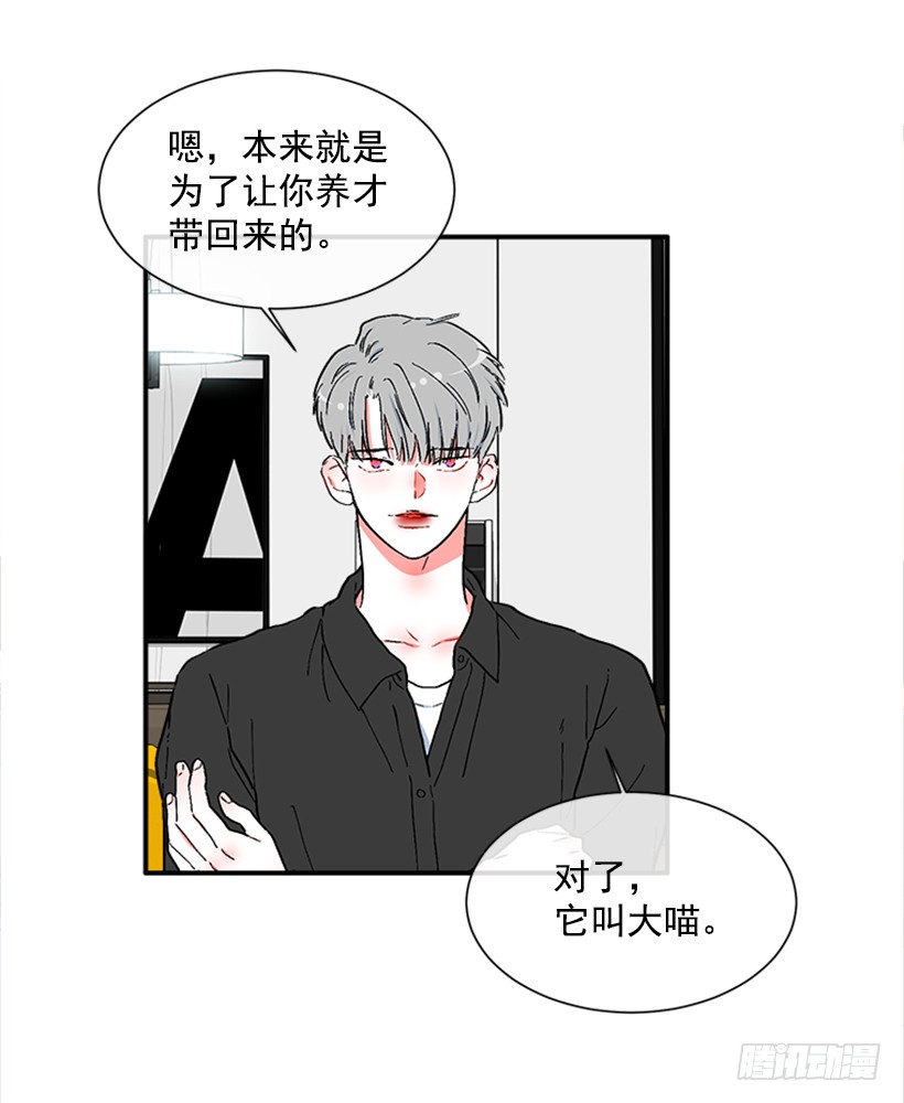 《扑杀少女》137.大喵 第12页
