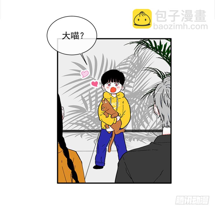 《扑杀少女》137.大喵 第13页