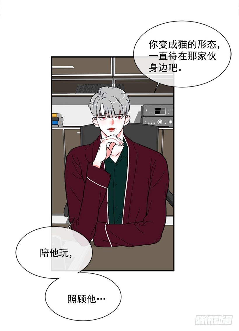 《扑杀少女》137.大喵 第22页