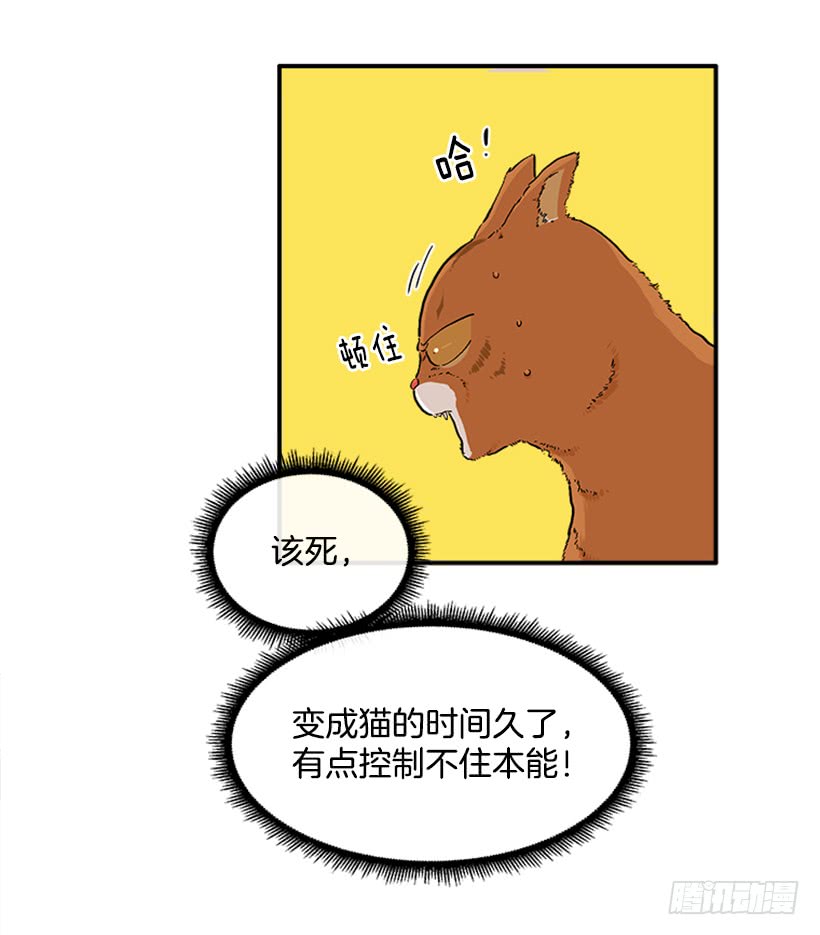 《扑杀少女》137.大喵 第37页