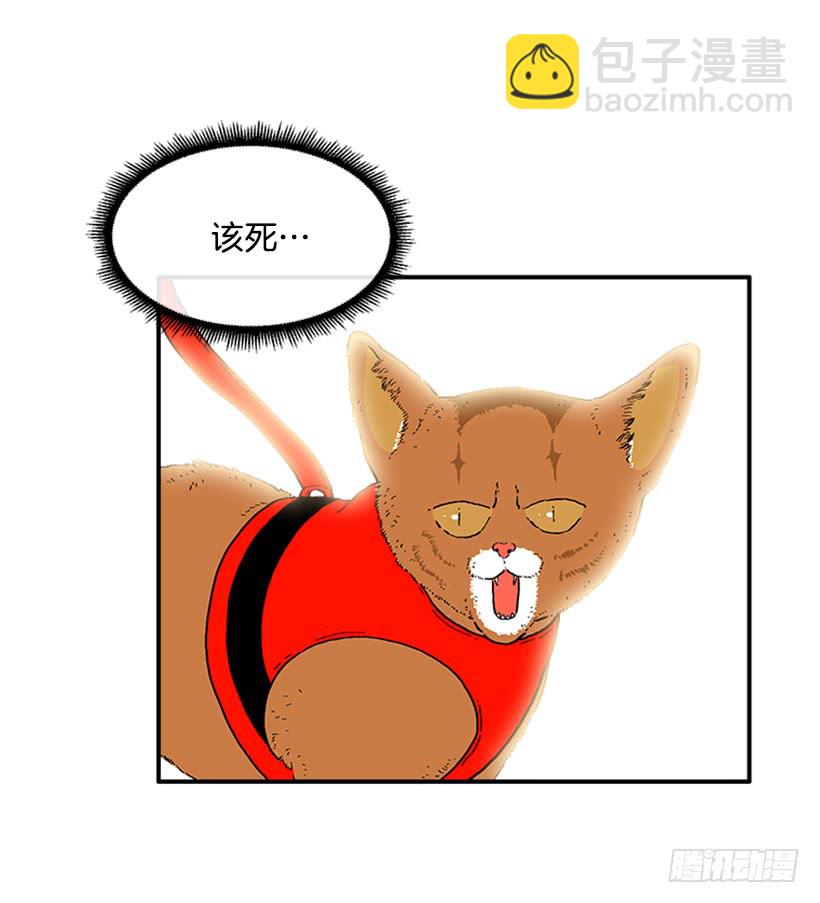 《扑杀少女》138.保护您到最后 第13页