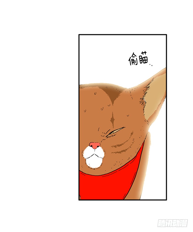 《扑杀少女》138.保护您到最后 第17页