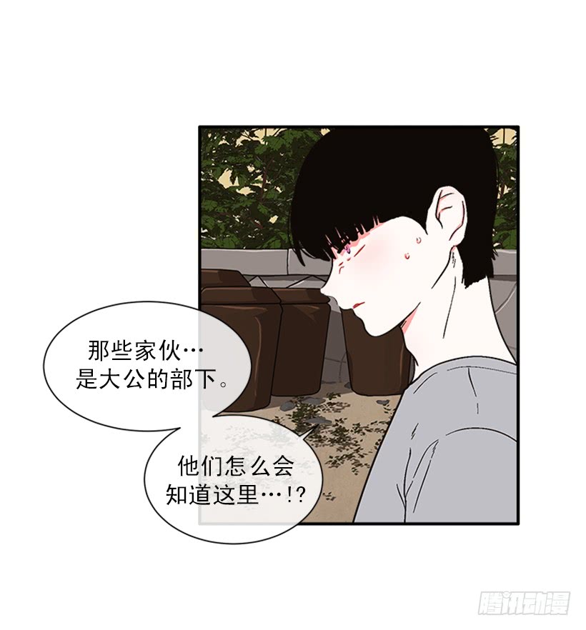 《扑杀少女》152.大公找到这里了？ 第22页