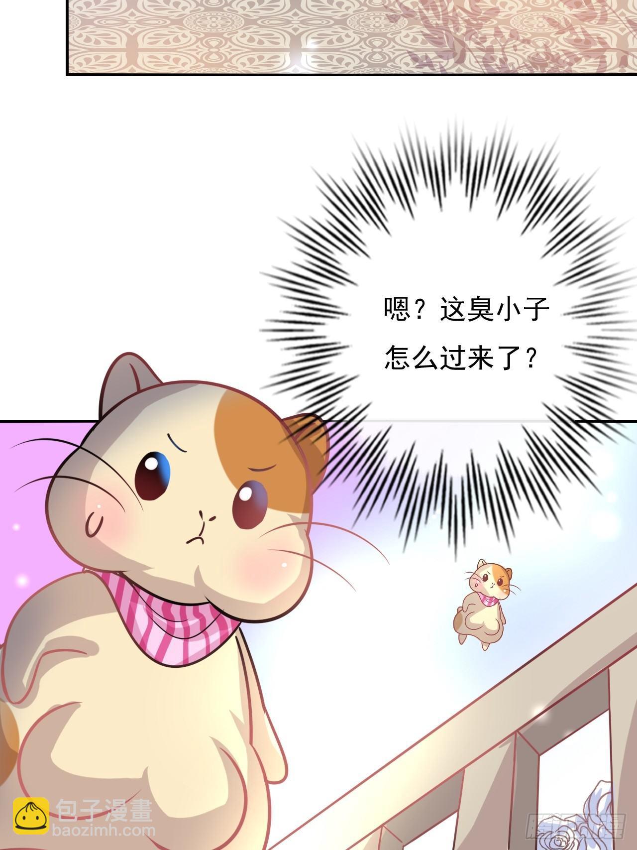 《系统之小公主攻略》第14话 苏醒 第3页
