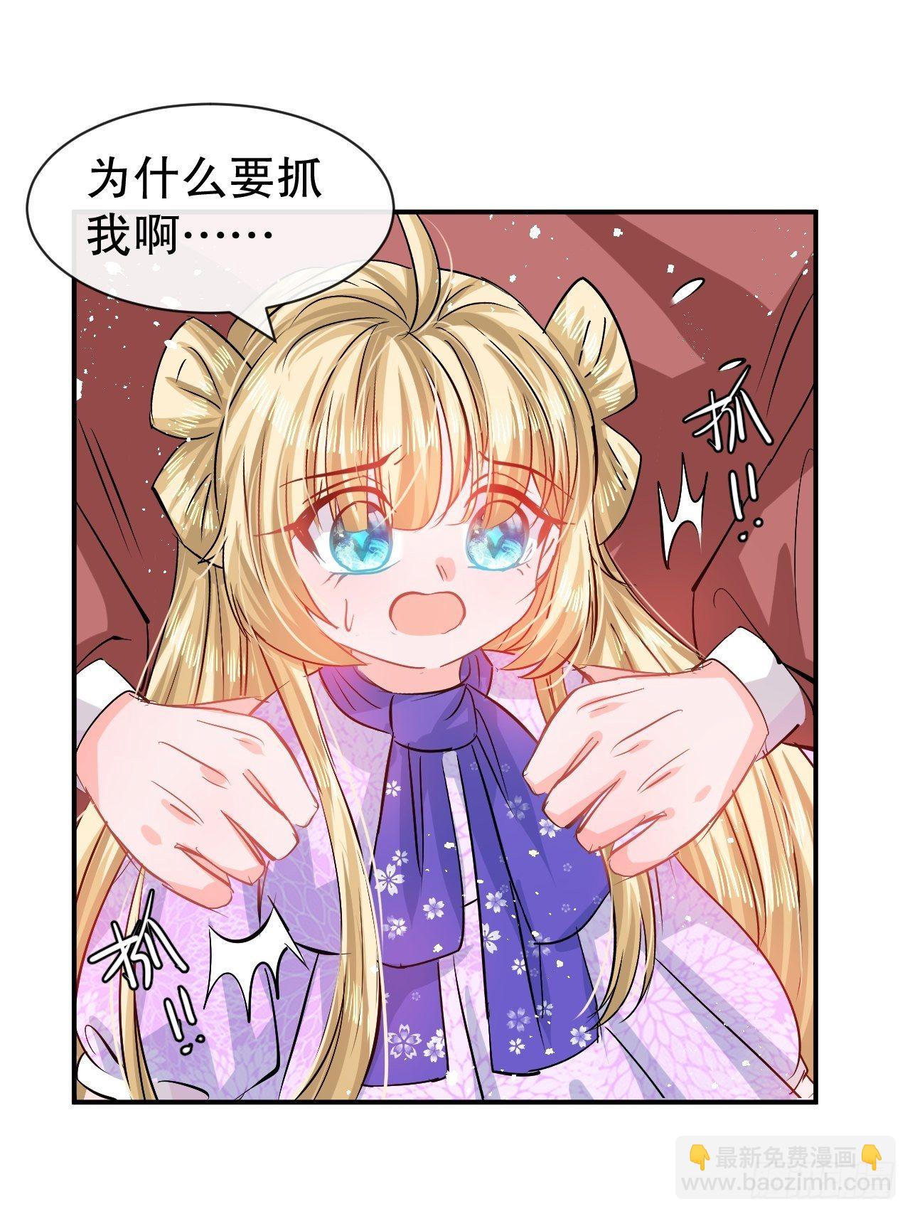 《系统之小公主攻略》第68话 把她抓起来！ 第29页