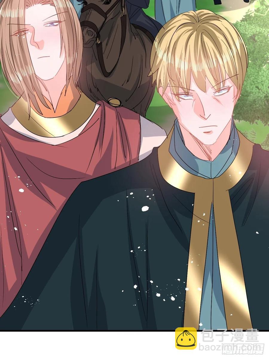 《系统之小公主攻略》第81话 大军压境 第3页