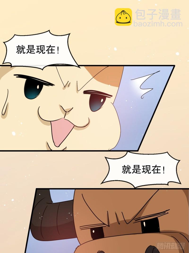 《系统之小公主攻略》第95话 偷袭？！ 第15页