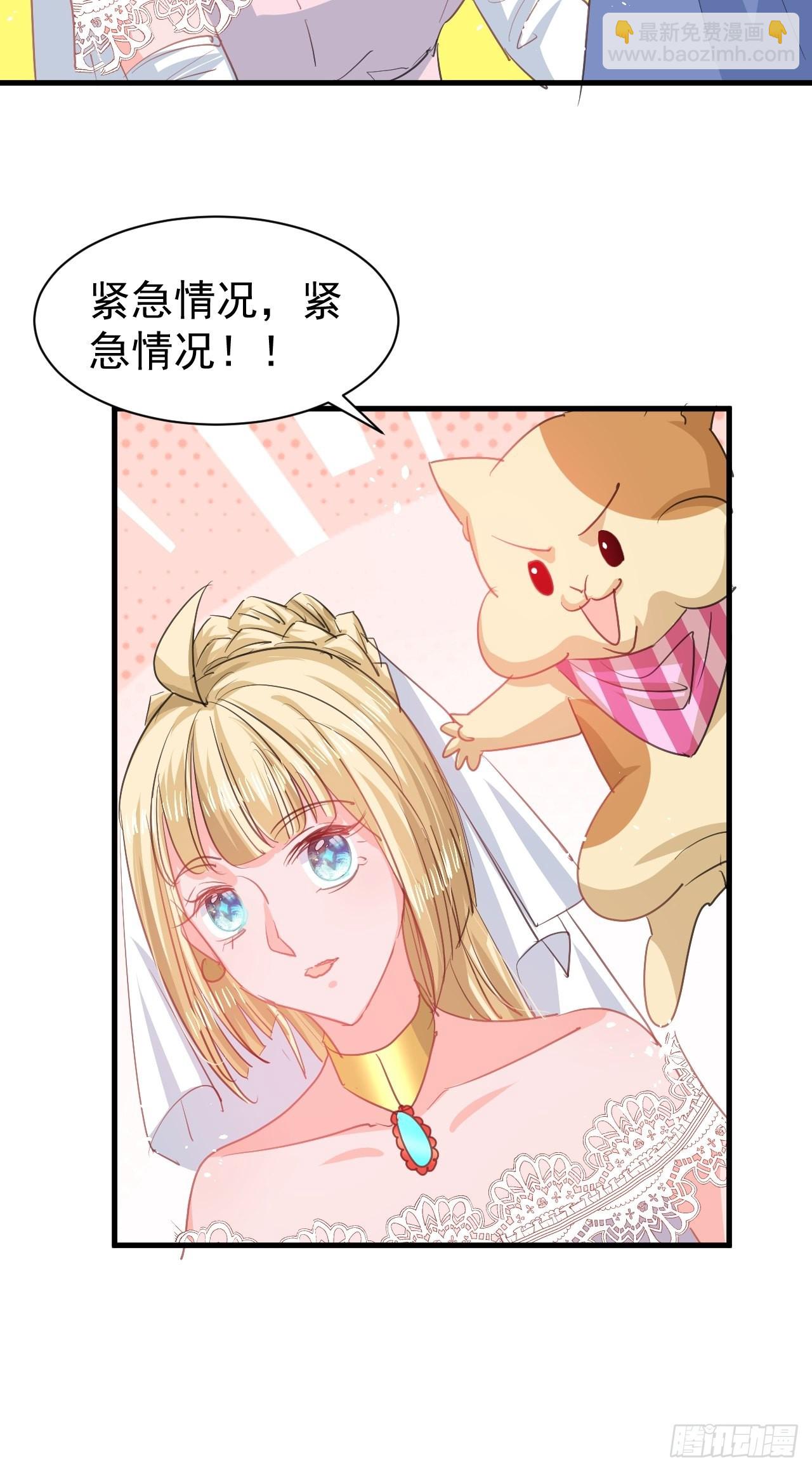 《系统之小公主攻略》第142话 结婚 第29页