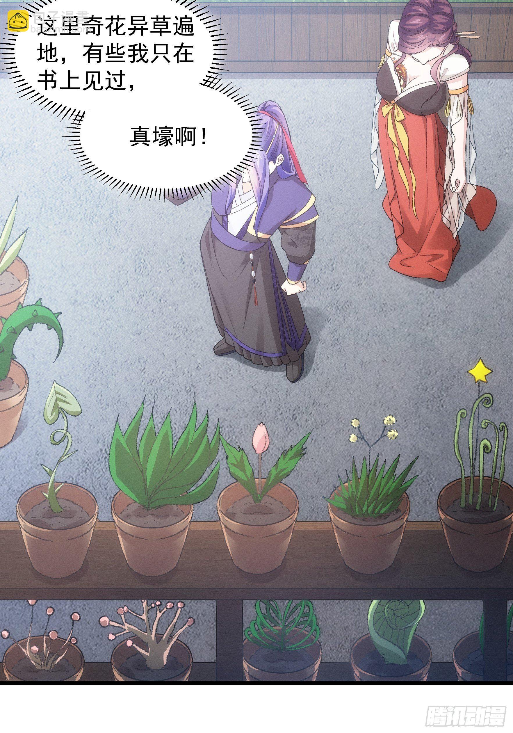 《我就是不按套路出牌（套路王）》第33话 玉玲珑 第13页