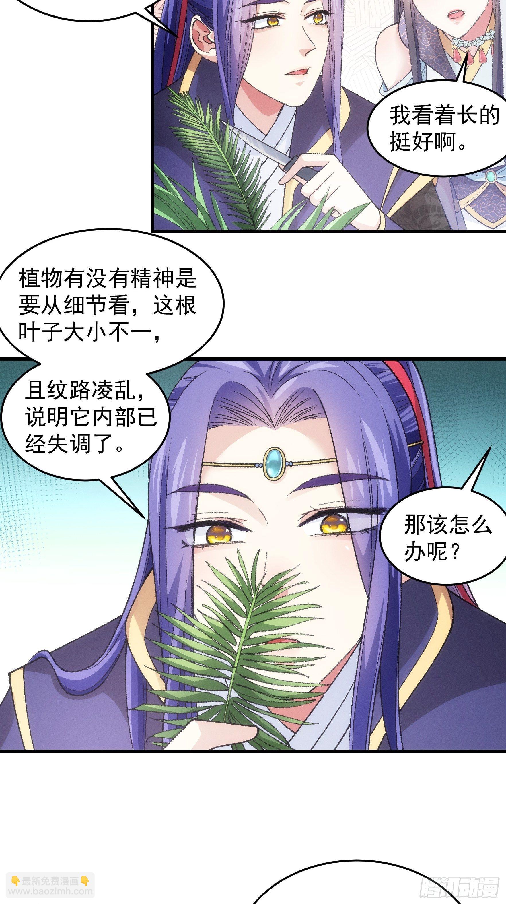 《我就是不按套路出牌（套路王）》第33话 玉玲珑 第4页