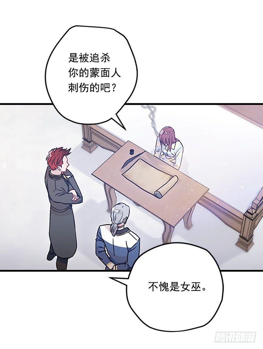 《皇子，你想干啥？》女巫的羊皮纸 第25页