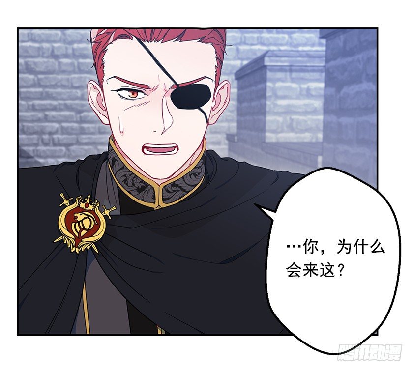 《皇子，你想干啥？》并肩作战 第25页