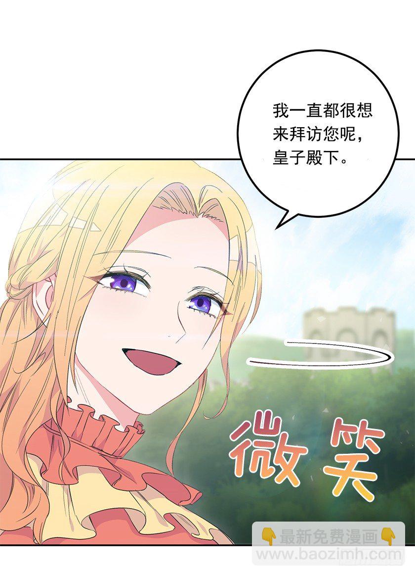 《皇子，你想干啥？》大皇子的阴谋 第19页