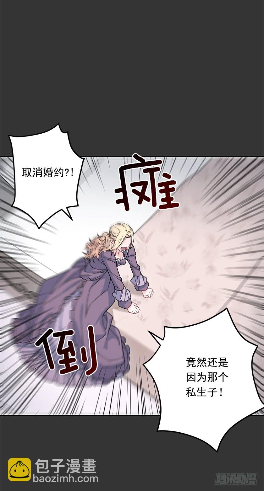《皇子，你想干啥？》48.取消婚约 第27页