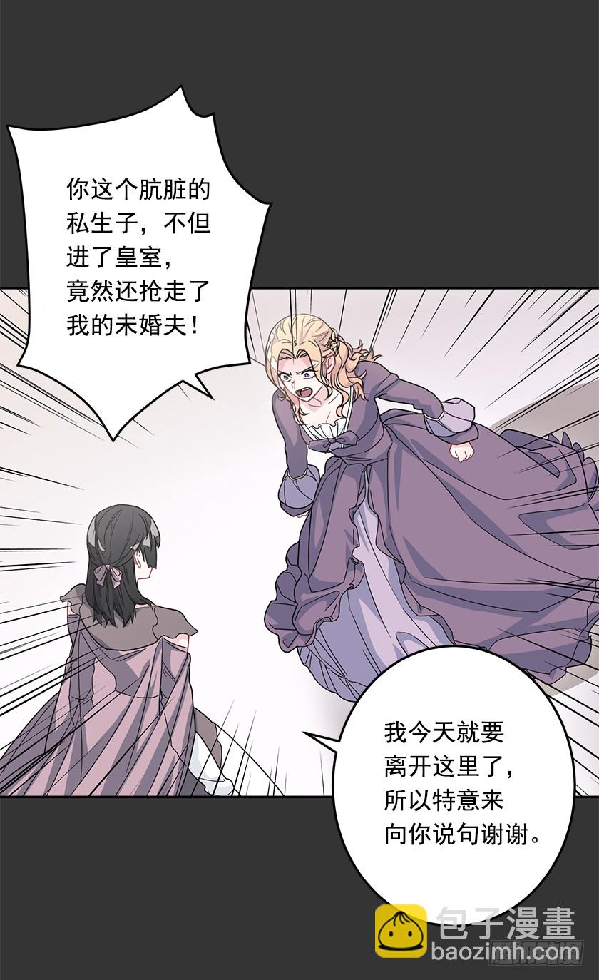 《皇子，你想干啥？》48.取消婚约 第30页