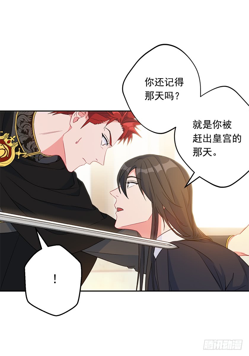 《皇子，你想干啥？》118.到底谁该找谁报仇！ 第30页