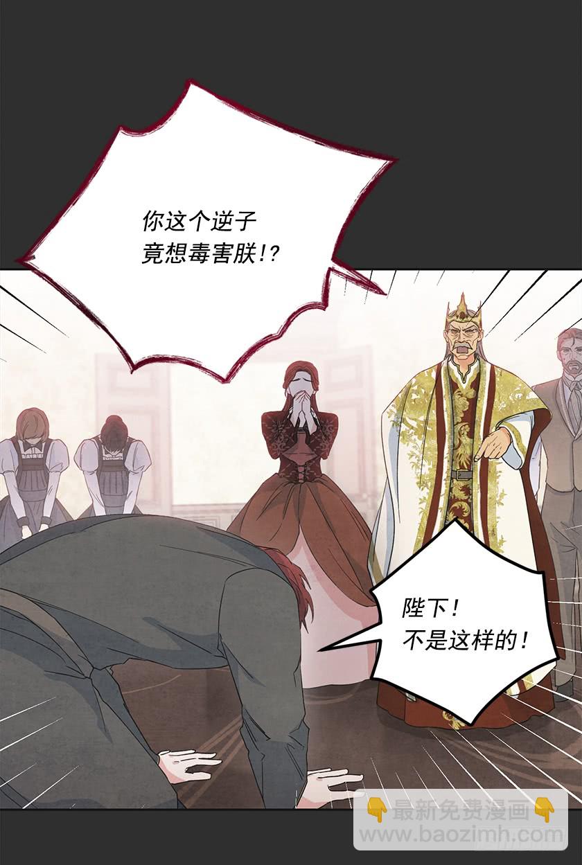 《皇子，你想干啥？》119.跟我合作吧，卡特 第13页