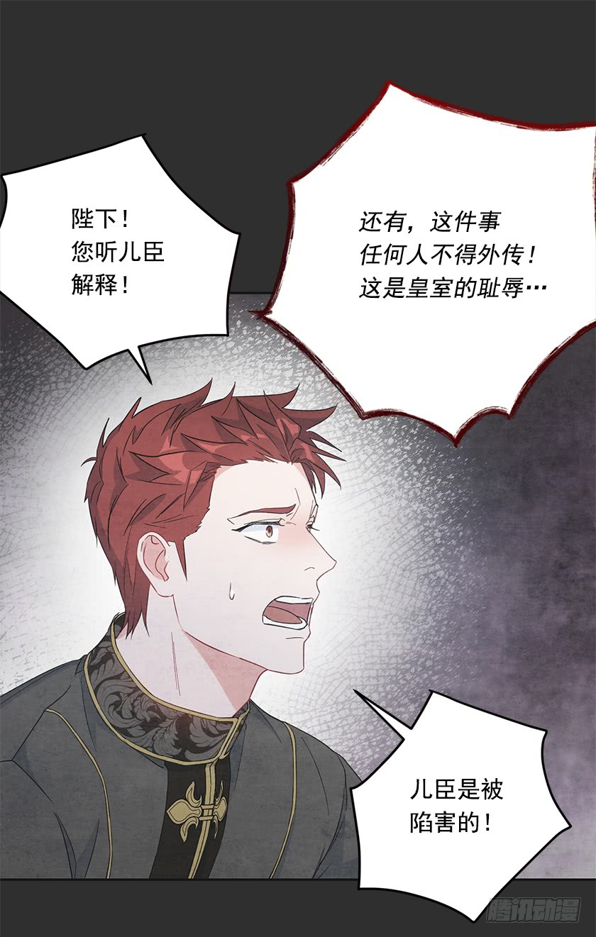《皇子，你想干啥？》119.跟我合作吧，卡特 第23页