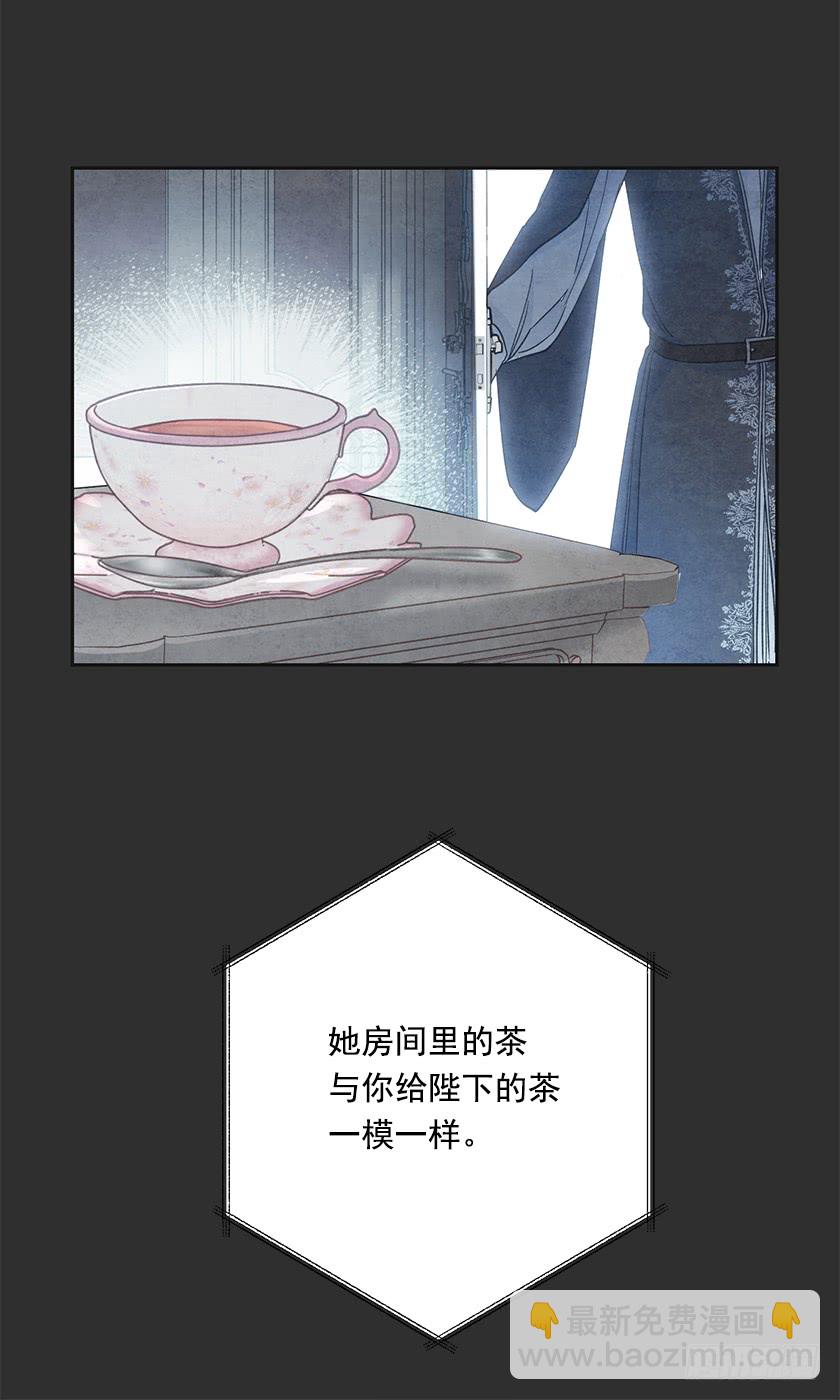 《皇子，你想干啥？》119.跟我合作吧，卡特 第31页