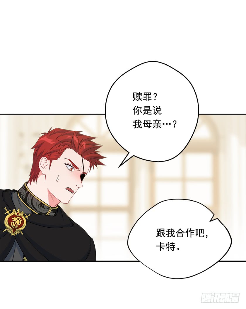 《皇子，你想干啥？》119.跟我合作吧，卡特 第35页