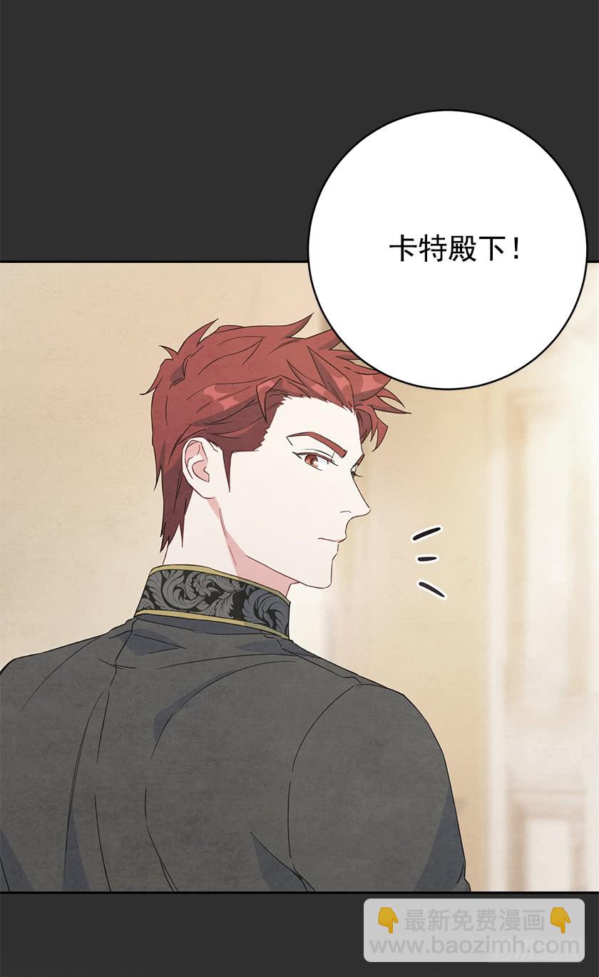 《皇子，你想干啥？》121.阴谋 第21页