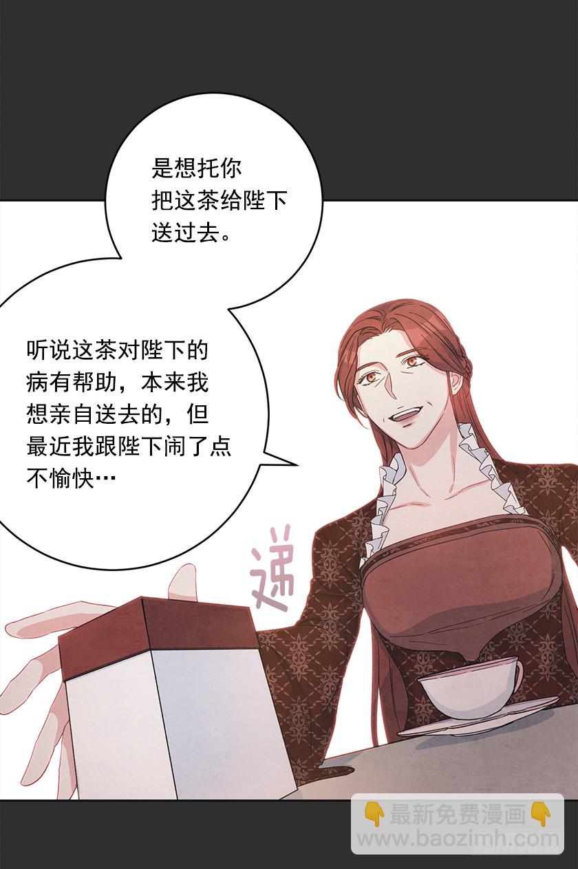 《皇子，你想干啥？》121.阴谋 第5页