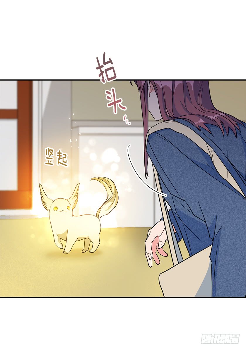 《皇子，你想干啥？》140.卡特的婚礼 第19页