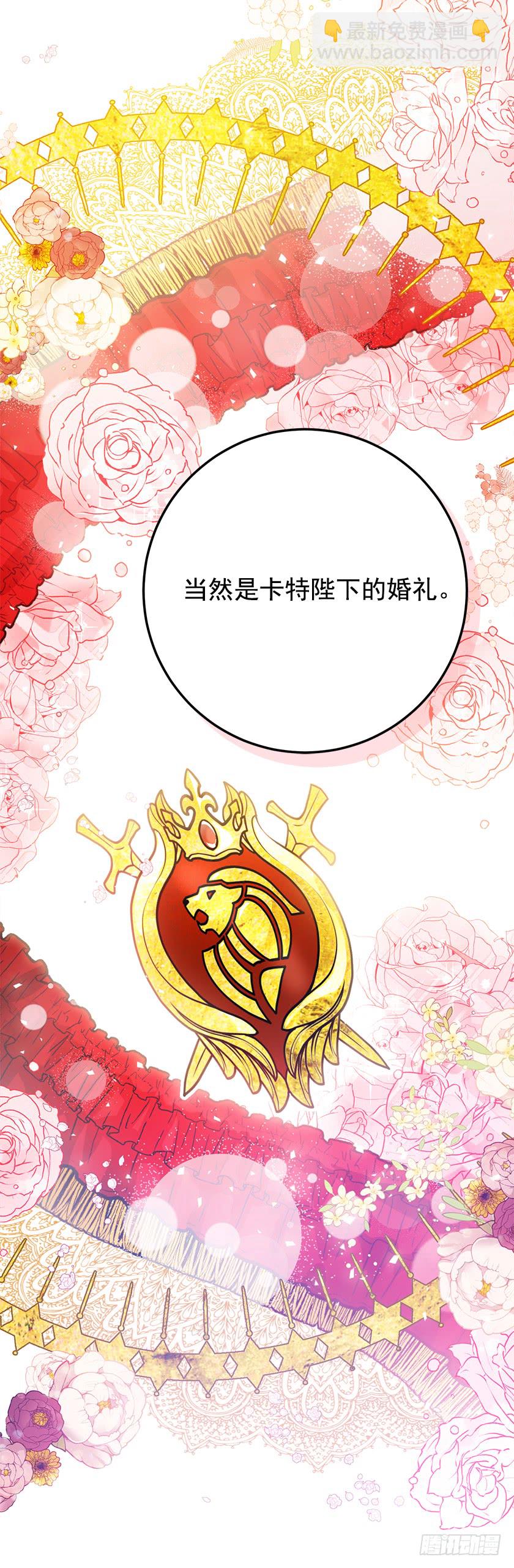 《皇子，你想干啥？》140.卡特的婚礼 第44页