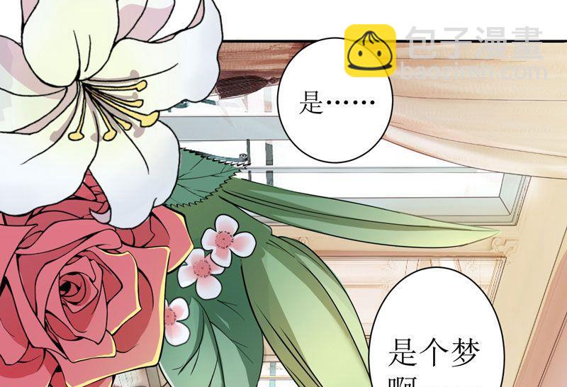《BOSS的替嫁新娘》第3话 行使夫妻权利 第13页