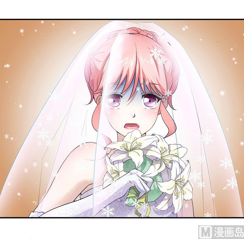 《BOSS的替嫁新娘》第2话 不是姐夫是老公 第27页