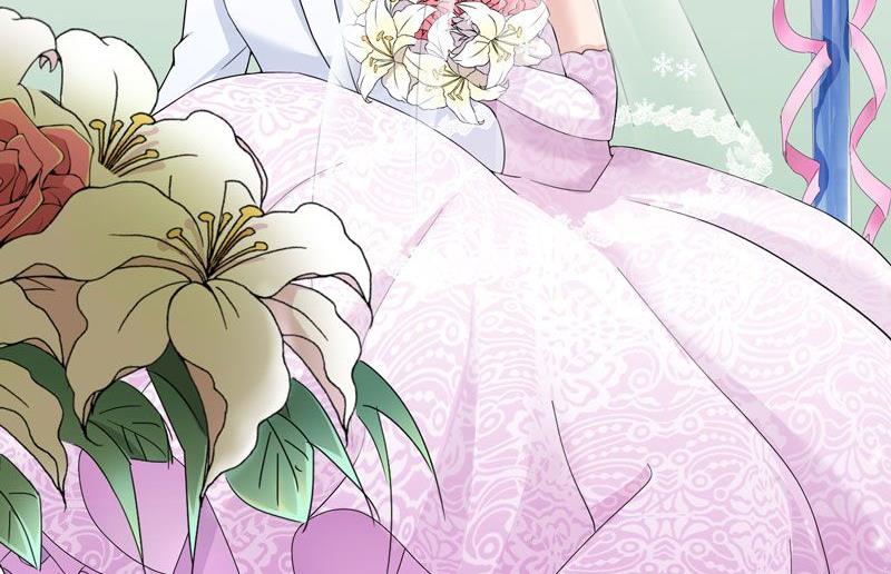《BOSS的替嫁新娘》第2话 不是姐夫是老公 第44页
