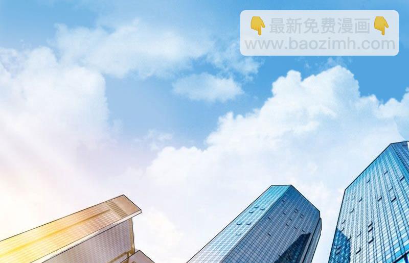 《BOSS的替嫁新娘》第7话 参加宴会 第2页