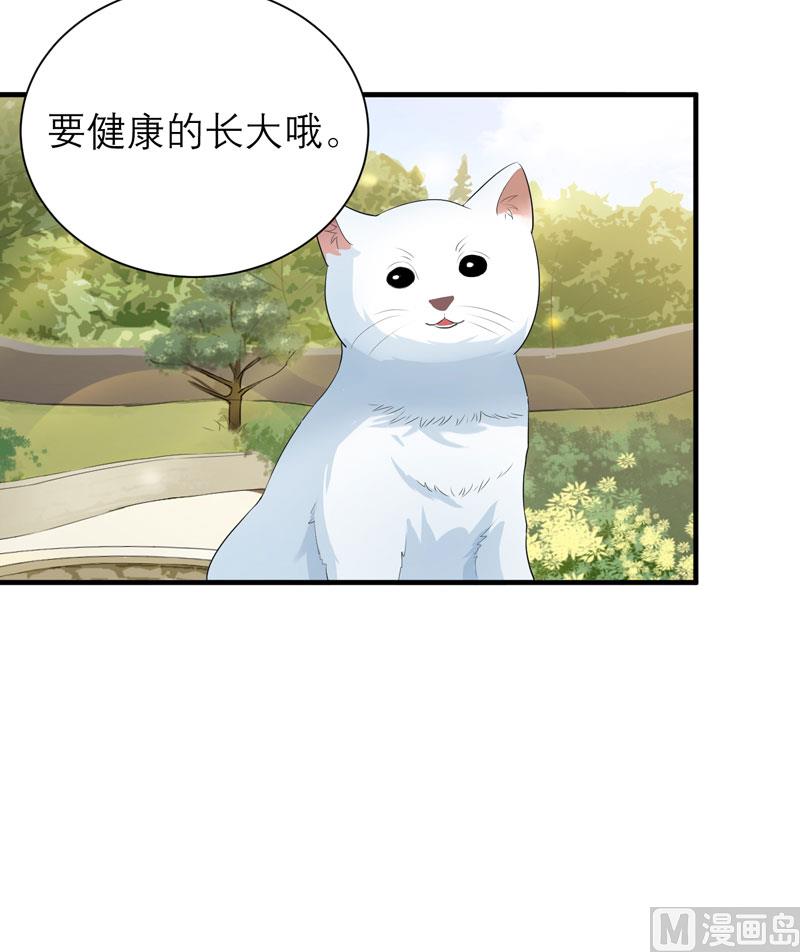 《BOSS的替嫁新娘》第53话 跟我联手吧 第22页