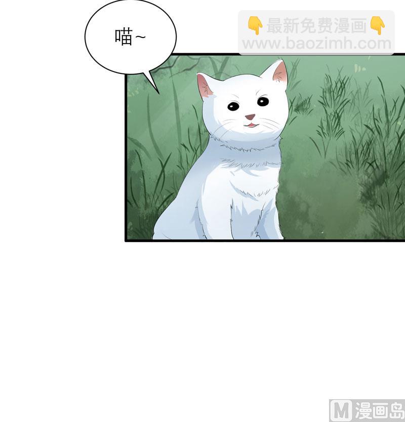 《BOSS的替嫁新娘》第61话 心凉了还会暖吗 第6页