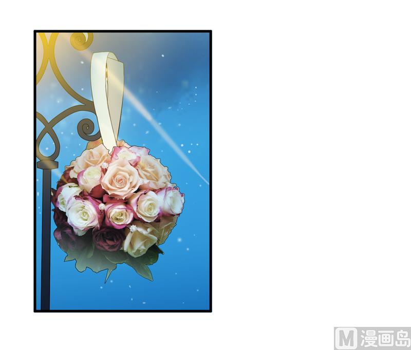 《BOSS的替嫁新娘》第114话 这是比武招亲吧 第17页