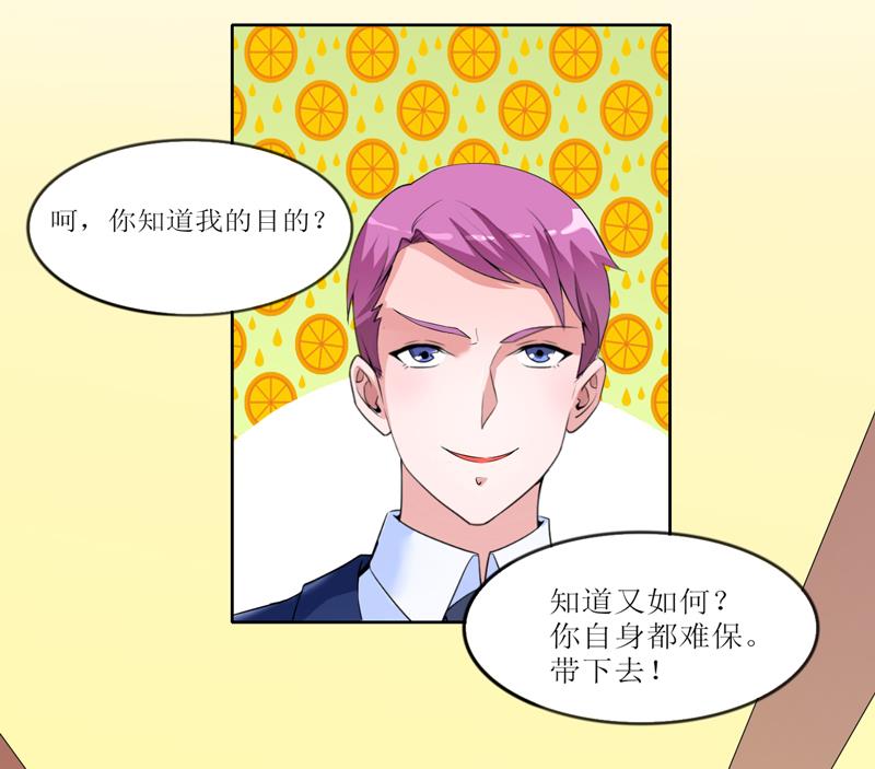 《BOSS的替嫁新娘》第131话 再娶一次平安 第11页