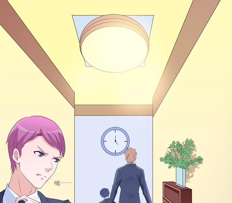 《BOSS的替嫁新娘》第131话 再娶一次平安 第12页