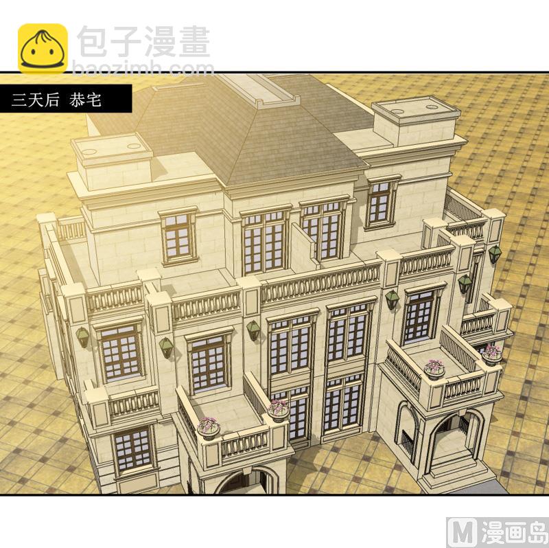 《BOSS的替嫁新娘》第142话 归来的哥哥 第17页