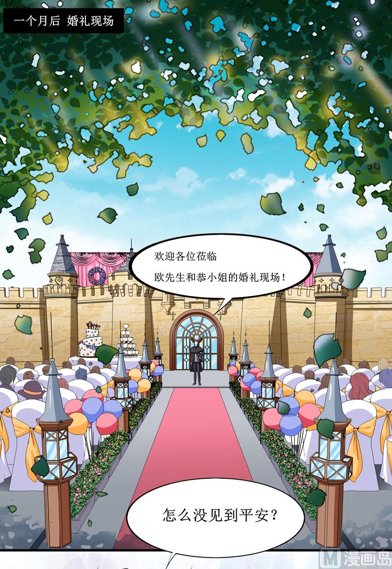 《BOSS的替嫁新娘》第143话 婚礼 第17页