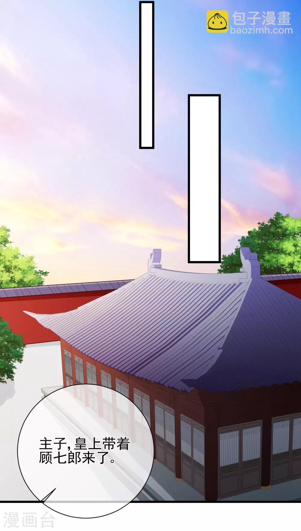 《十里红妆，代兄出嫁》第81话 我想给小九封妃 第12页