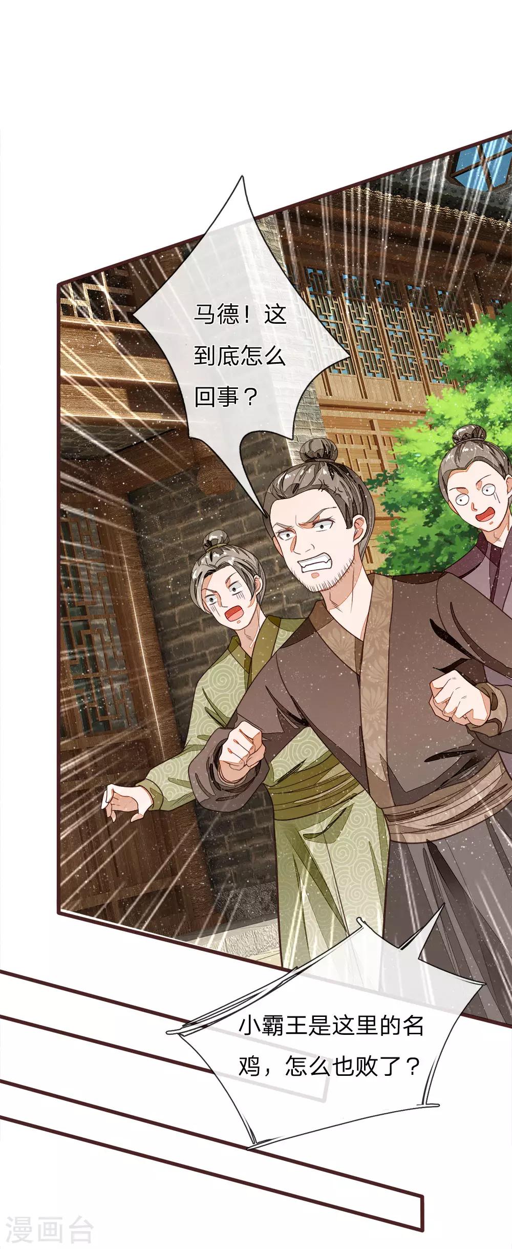 《史上第一纨绔(旧)》第90话 肉鸡正式更名战斗鸡 第11页