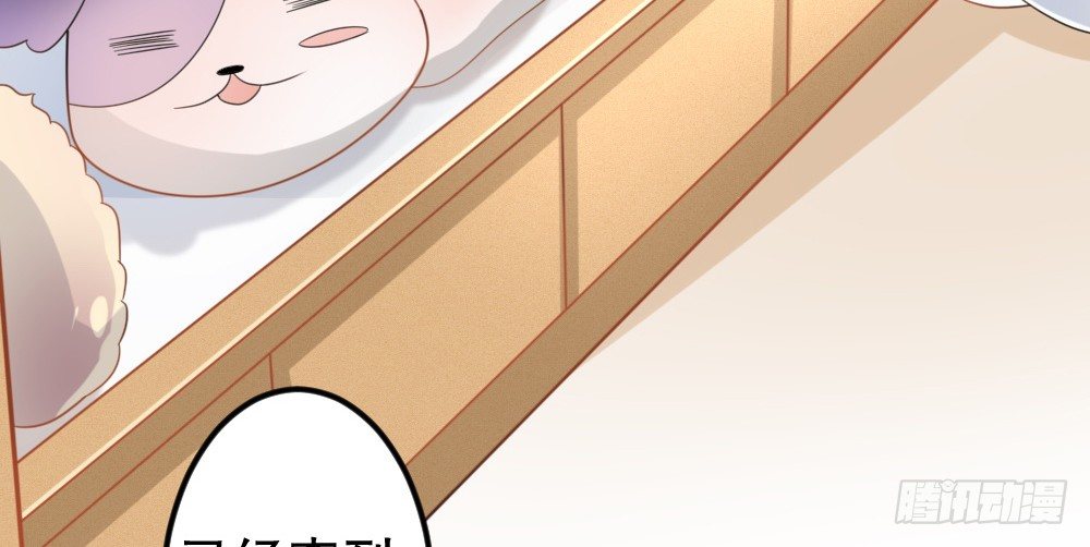 《偶像无限制99%》试镜通知 第10页