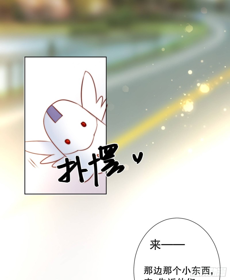 《偶像无限制99%》你爸是我叔 第44页