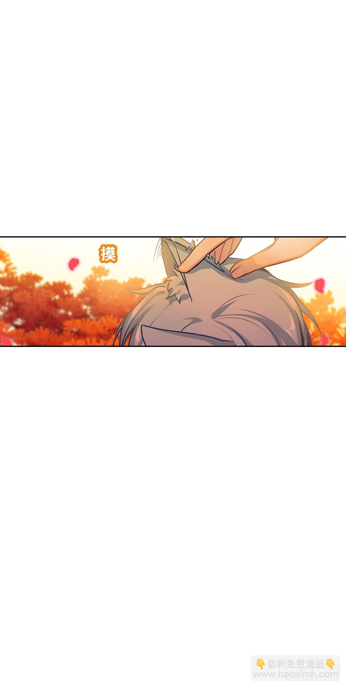 《老师，狼来啦！》哭包与狼性并存 第17页