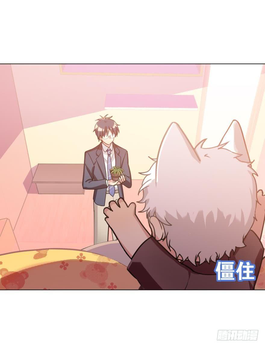 《老师，狼来啦！》大家还记得兰先生吗？ 第24页