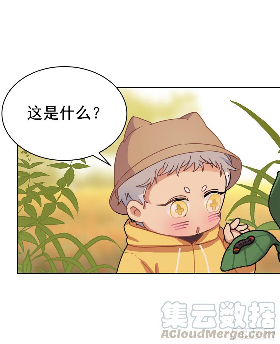 《老师，狼来啦！》毛毛我感觉我被针对了 第13页