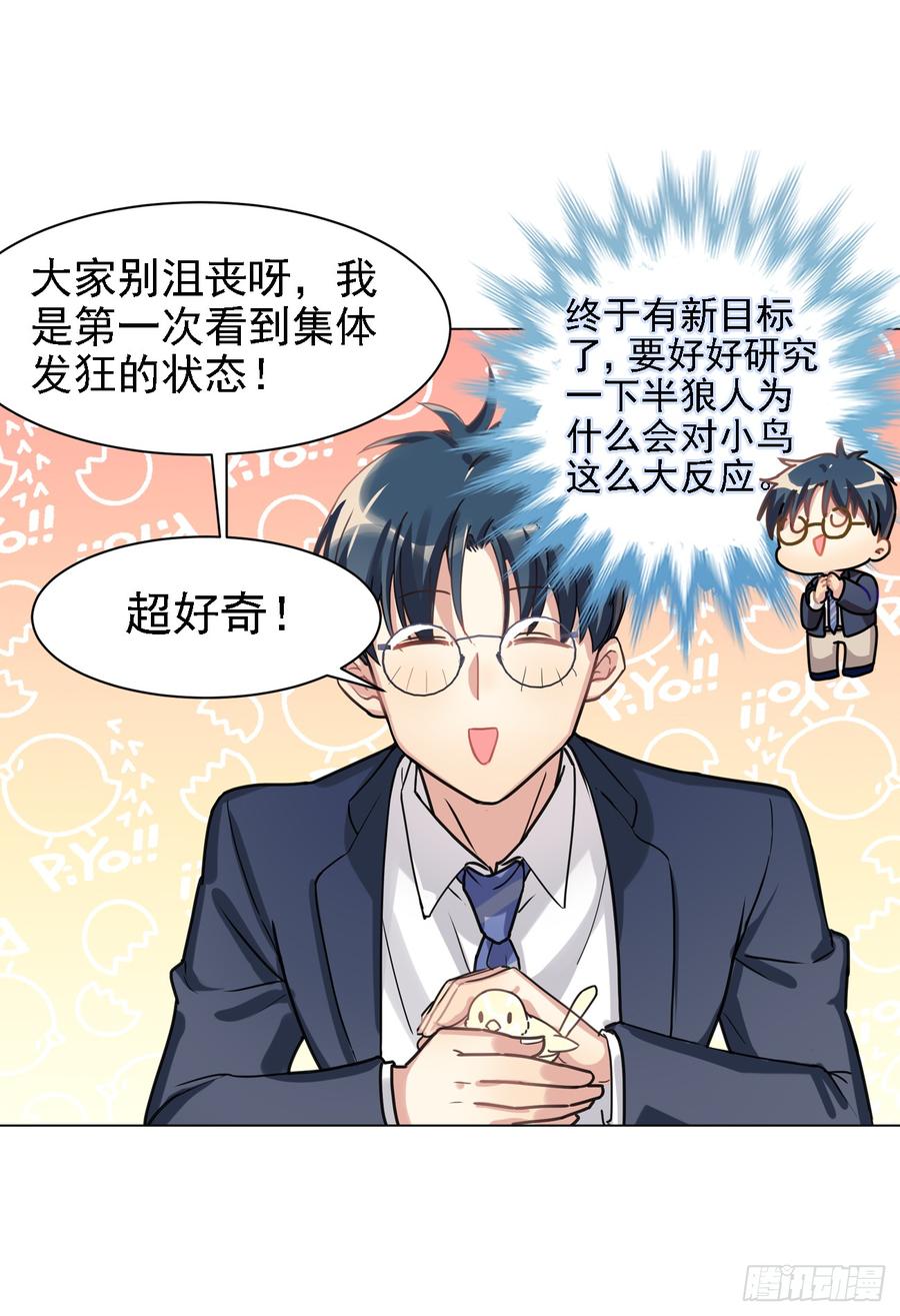 《老师，狼来啦！》因为它在我们头上拉过屎 第5页