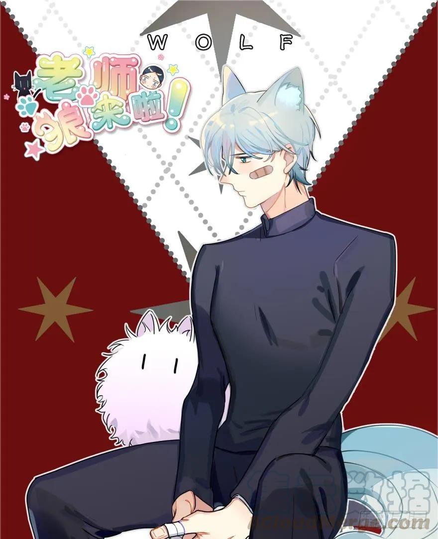 《老师，狼来啦！》说惨还是文轩惨 第1页