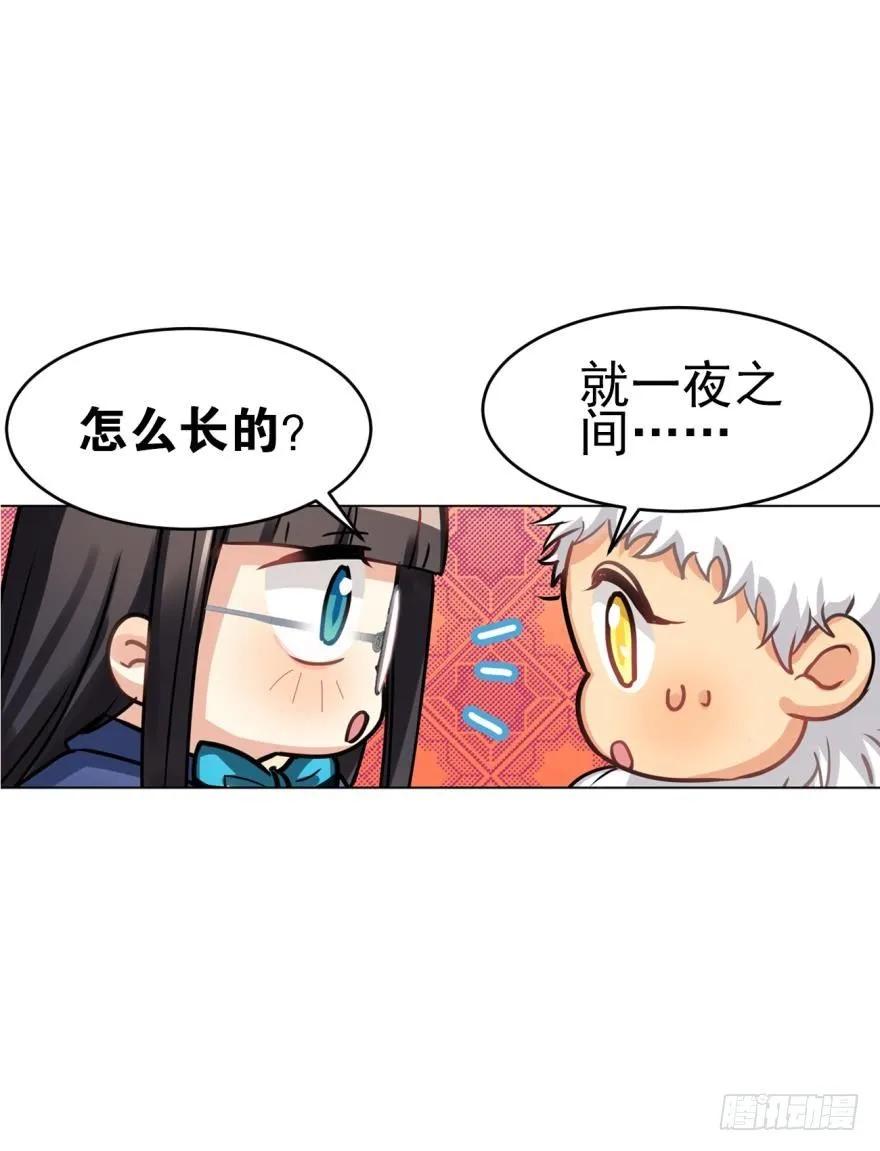 《老师，狼来啦！》兔兔和毛毛交换秘密 第11页